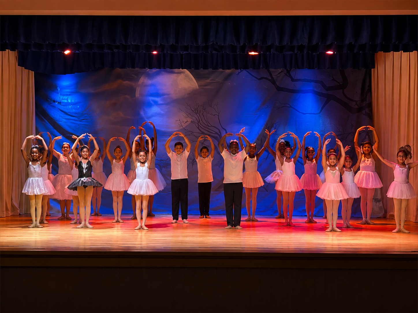 In-School Programs